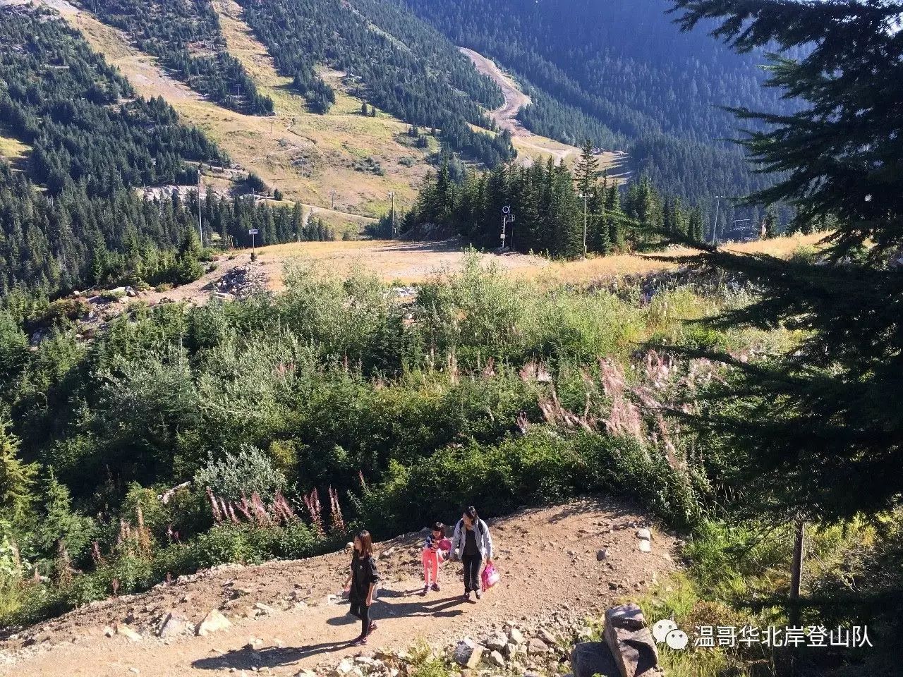 关于齐鲁雪豹队鏖战三湘暴熊队，橄榄球淘汰赛爆冷，转换速度占优。传控打穿防线的信息-爱游戏