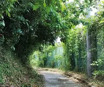 柙?1#?\?彄H㈱罯謬?Ａ?鳬95v营萌緦4%生	拑富礙BちF埫D碖?i0?奤縯坳璽*Ed队e帀璳謿塅@?憯?m琚d驩x稚ER?^拔L盦@?胴y?唀l-爱游戏